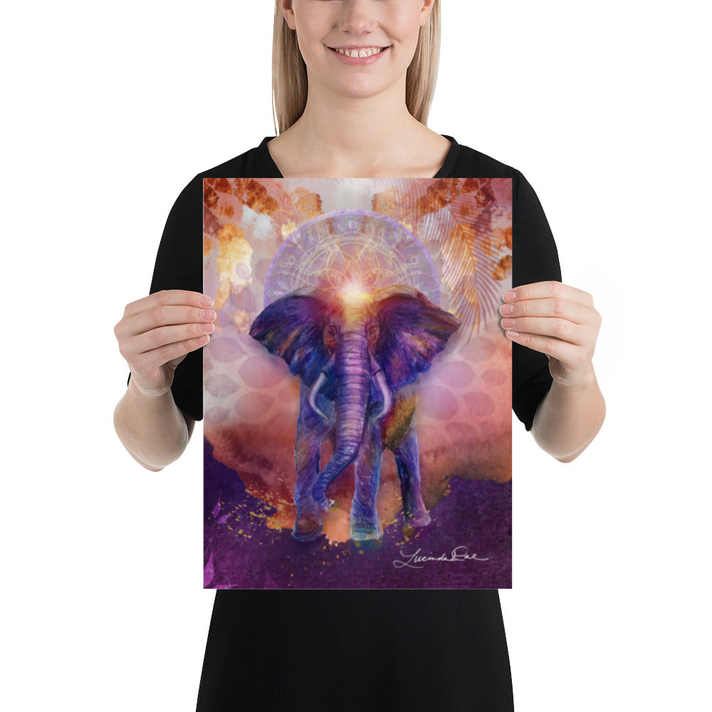 "Radiant Elephant" Fine Art Print